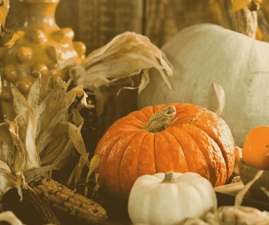 Blog Jahreskreisfest Erntedank Herbsttagundnachtgleiche Danken für die Ernte