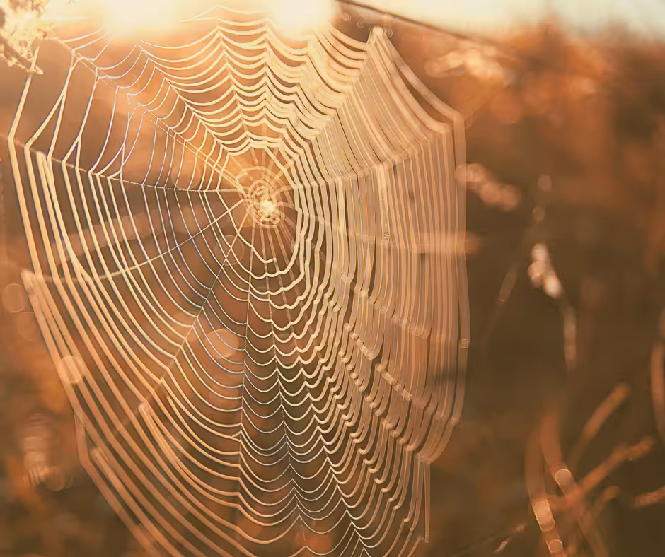 Blog Jahreskreisfest Erntedank Herbsttagundnachtgleiche Morgennebel