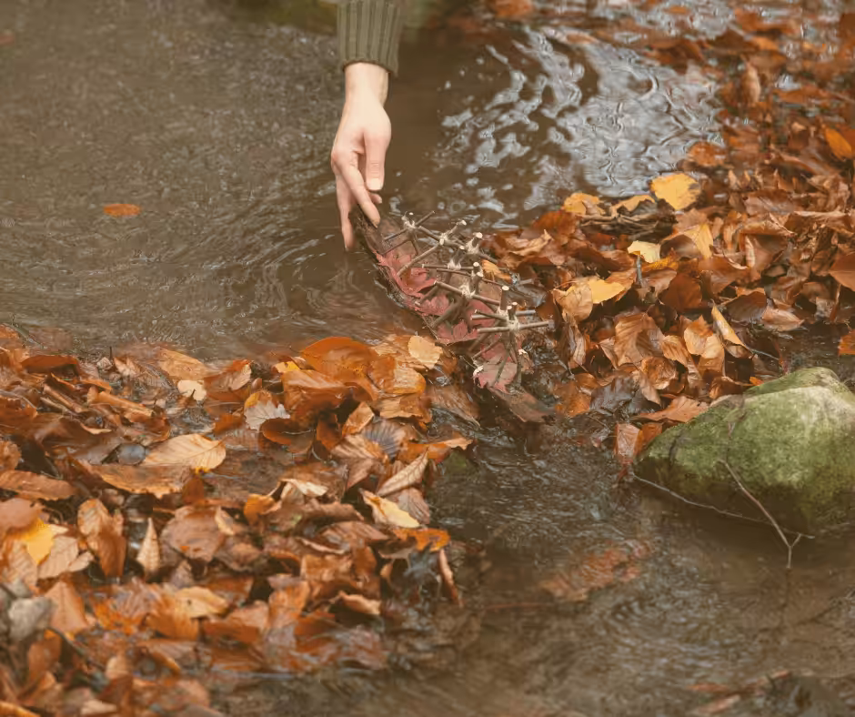 Blog Ahnenritual Dankbarkeit für das Geschenk des Lebens Ahnen zu Wasser lassen