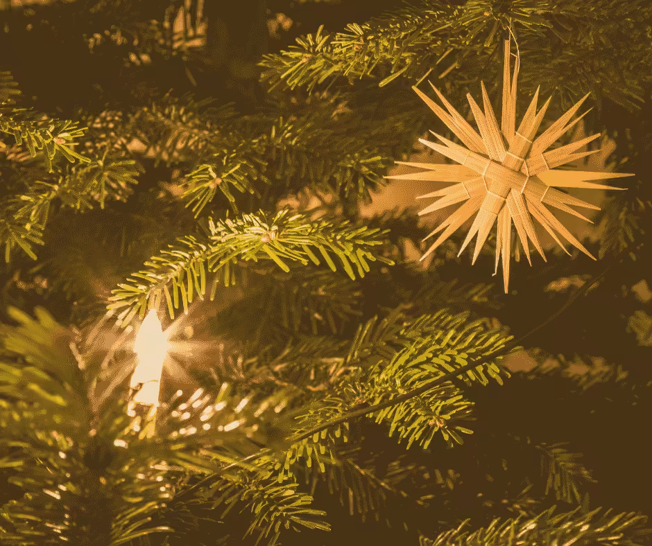 Jahreskreisfest Wintersonnenwende Weihanchtsbaum