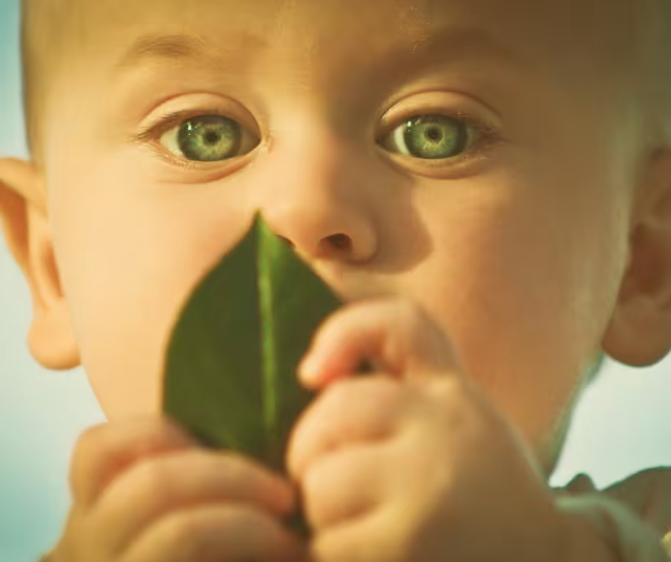 Deine Wahrheit: Schamanische Botschaft des Kolibri Blog Kinderaugen