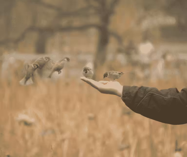 Blog- Die 13 Vertrauensregeln Versprechen halten