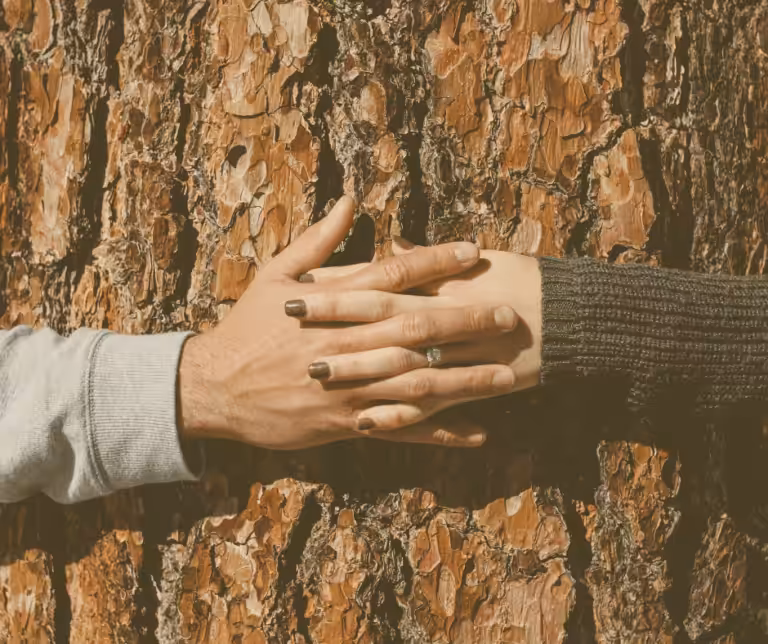 Blog- Die 13 Vertrauensregeln Verantwortung übenehmen