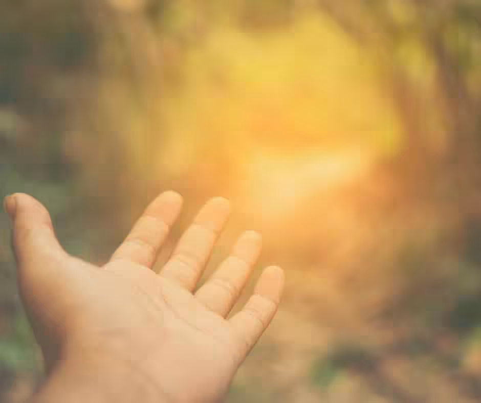 Die Natur als Brücke vom Kopf in den Bauch deiner Intuition folgen