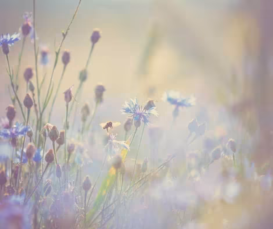 Naturverbindung- DIe Natur als Brücke vom Kopf in den Bauch