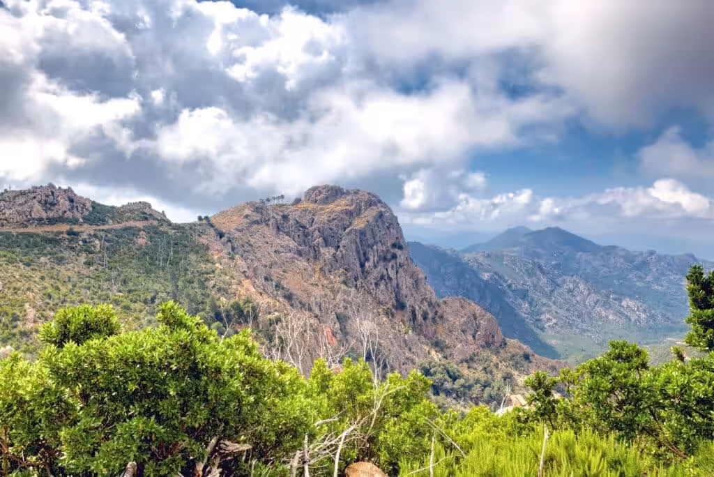 Kraftorte in der Natur-Bergrücken