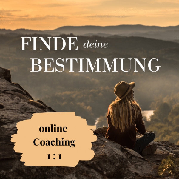 online Coaching Finde deine Bestimmung